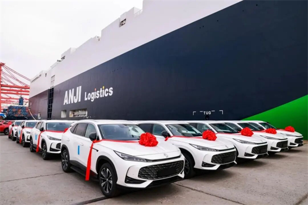 当技术开花、改革结果：上汽的“硬核反攻”