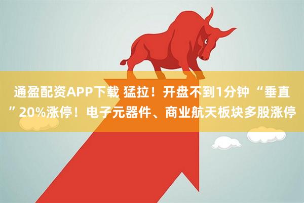 通盈配资APP下载 猛拉！开盘不到1分钟 “垂直”20%涨停！电子元器件、商业航天板块多股涨停
